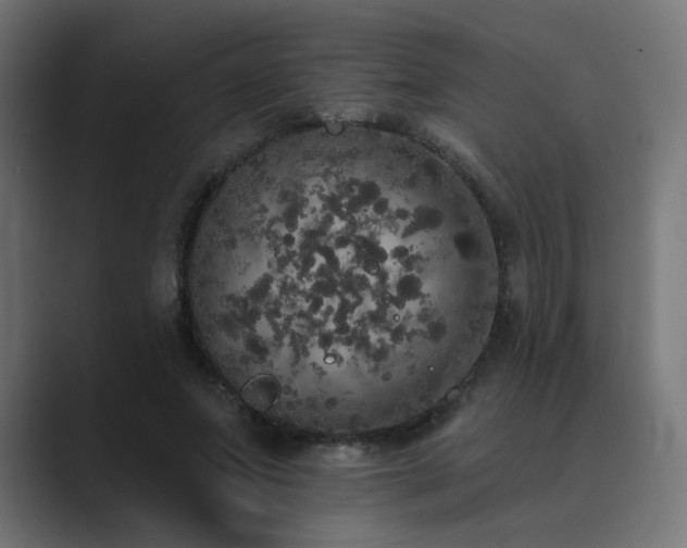 X0000089960687200706291230