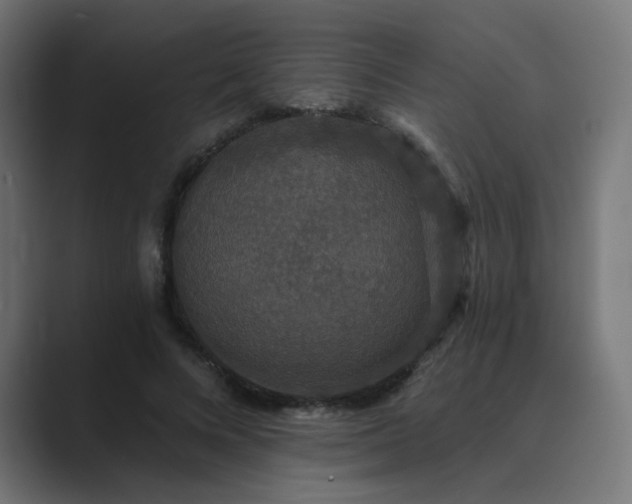 X0000089960688200706291230