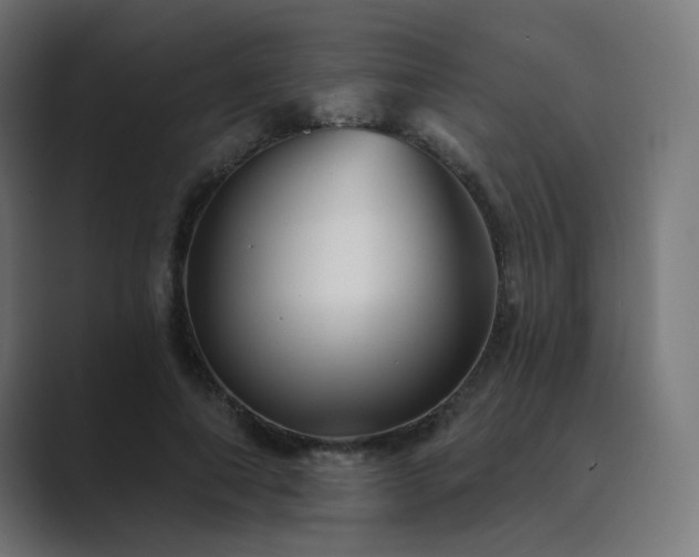 X0000089960690200706291230
