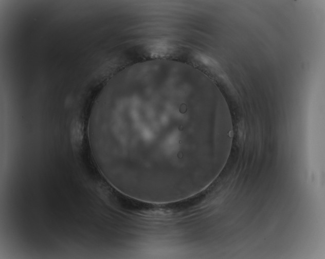 X0000089960691200706291230