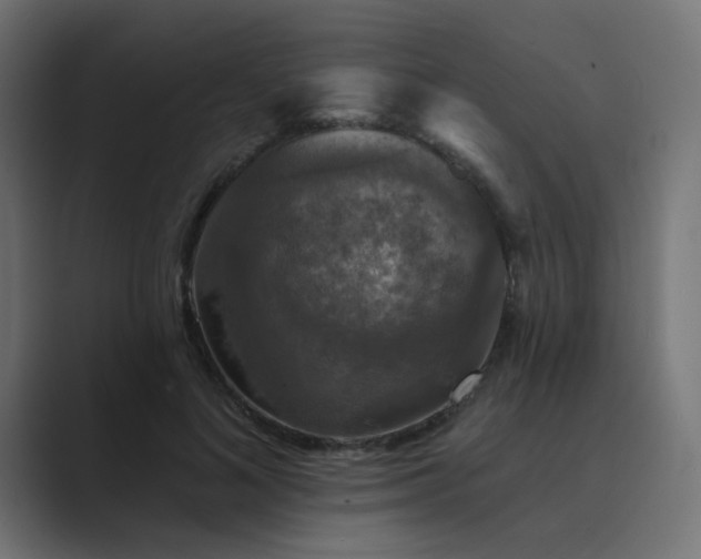 X0000089960692200706291230