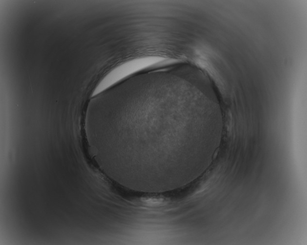 X0000089960693200706291230