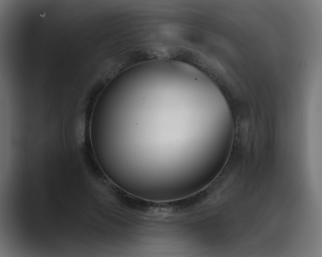 X0000089960694200706291229