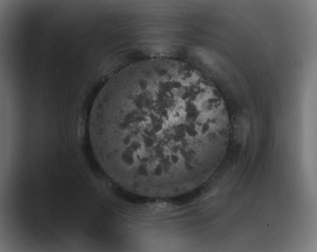 X0000089960695200706291229
