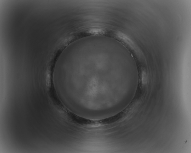 X0000089960696200706291229