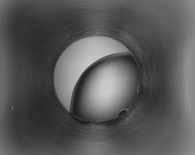 X0000089960697200706291229