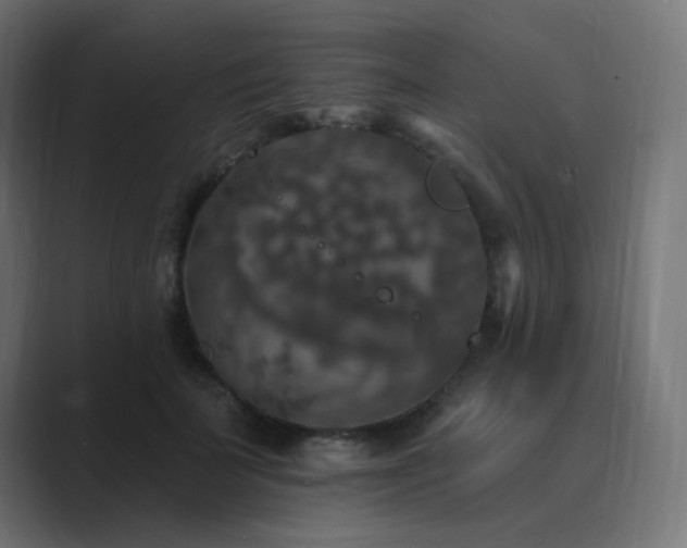 X0000089960699200706291229
