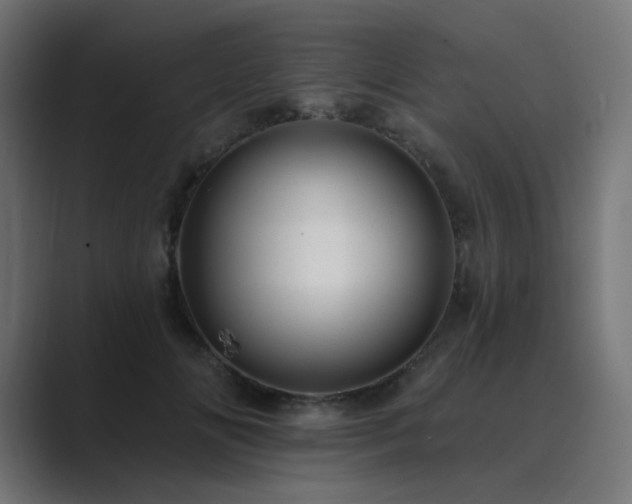 X0000089960702200706291229