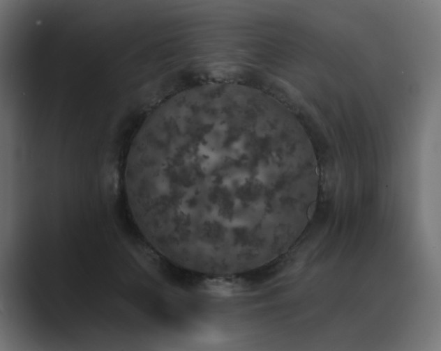 X0000089960703200706291229
