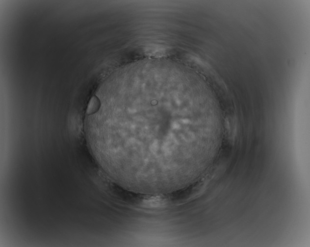 X0000089960705200706291229