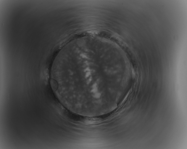 X0000089960707200706291229
