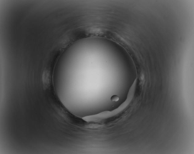 X0000089960708200706291229