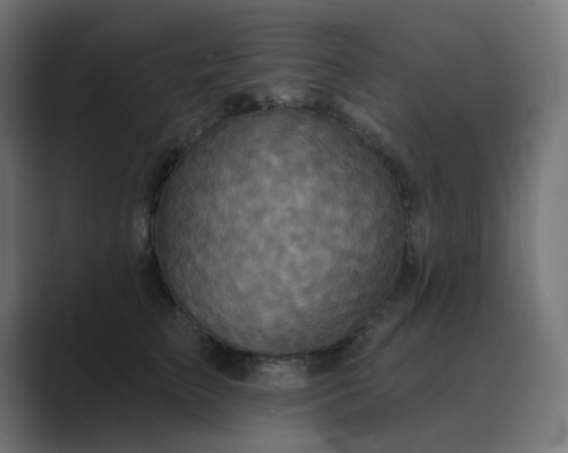 X0000089960709200706291229