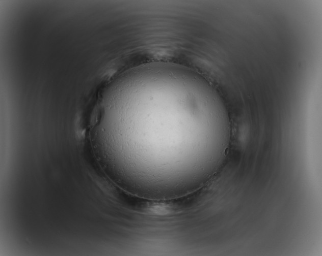 X0000089960710200706291229