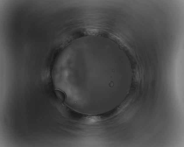 X0000089960711200706291229