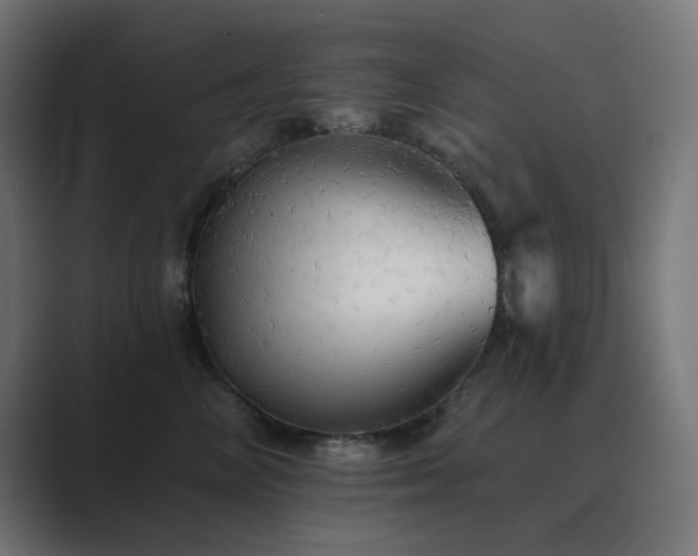X0000089960714200706291229