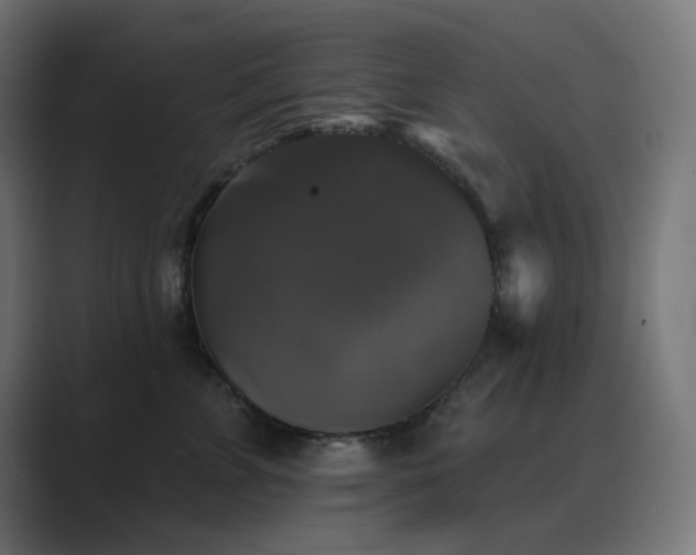 X0000089960715200706291229