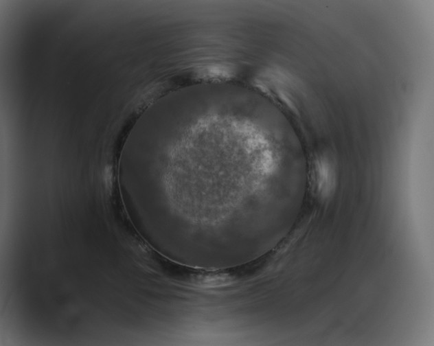 X0000089960716200706291229