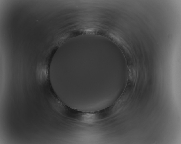 X0000089960718200706291229