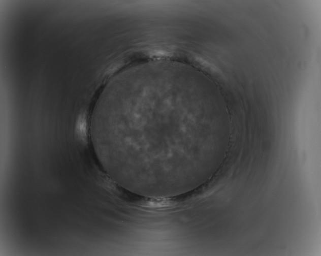 X0000089960720200706291229