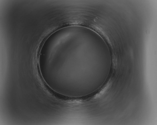 X0000089960721200706291229