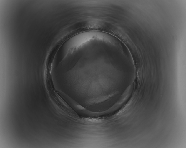 X0000089960722200706291229