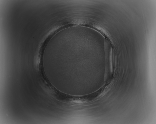 X0000089960723200706291229