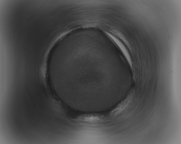 X0000089960724200706291229