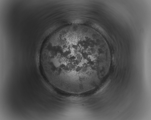 X0000089960725200706291229