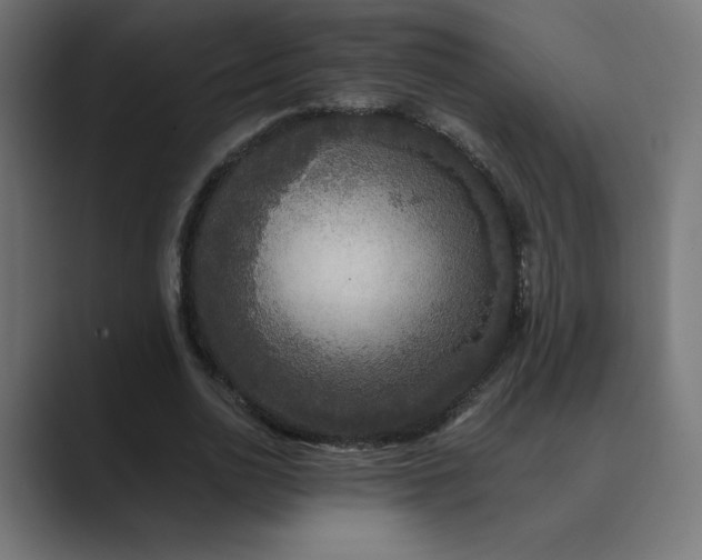 X0000089960726200706291229
