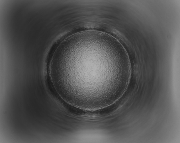 X0000089960727200706291229