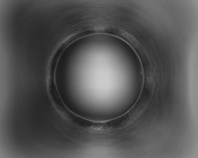 X0000089960728200706291229