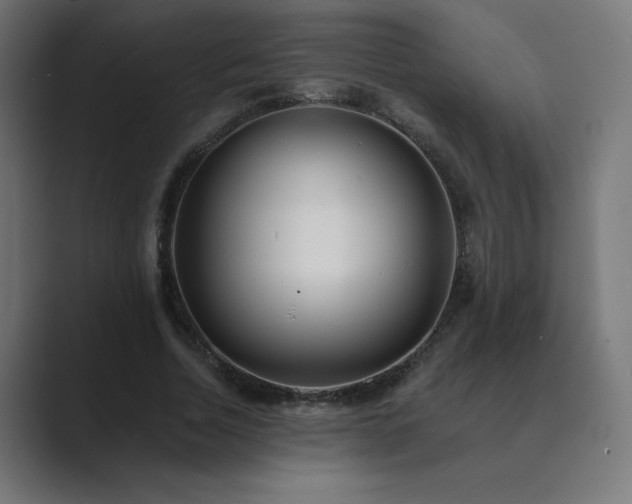 X0000089960730200706291229