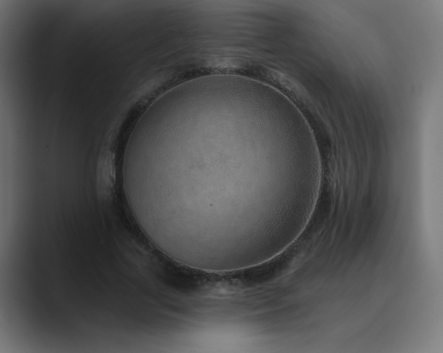 X0000089960731200706291229