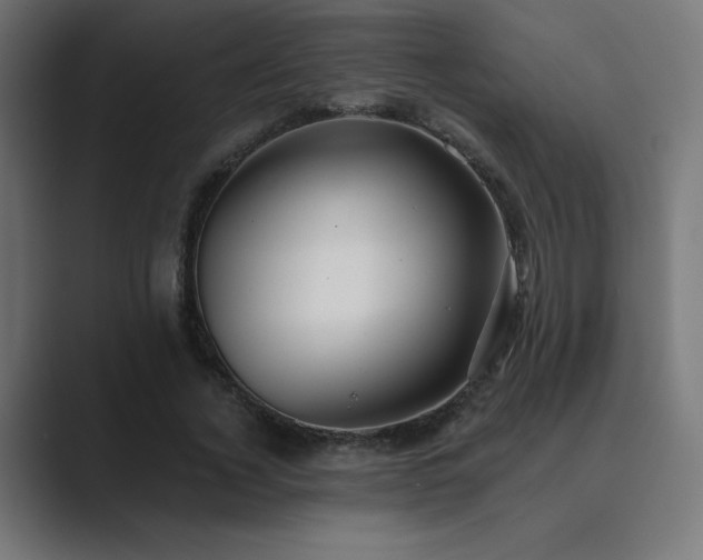 X0000089960732200706291229