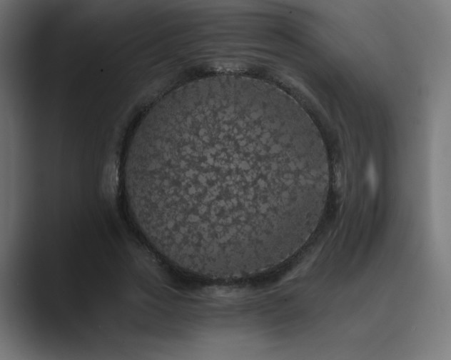 X0000089960733200706291229