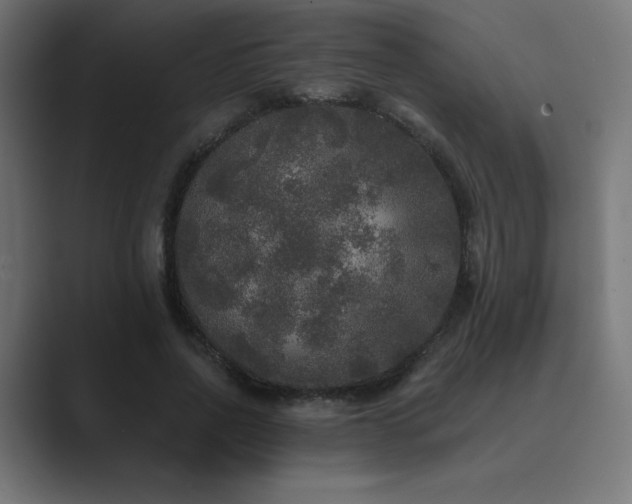 X0000089960734200706291229