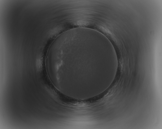 X0000089960735200706291229
