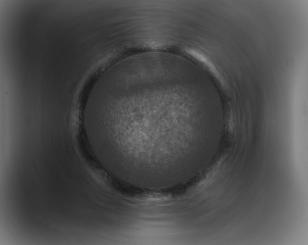 X0000089960736200706291229
