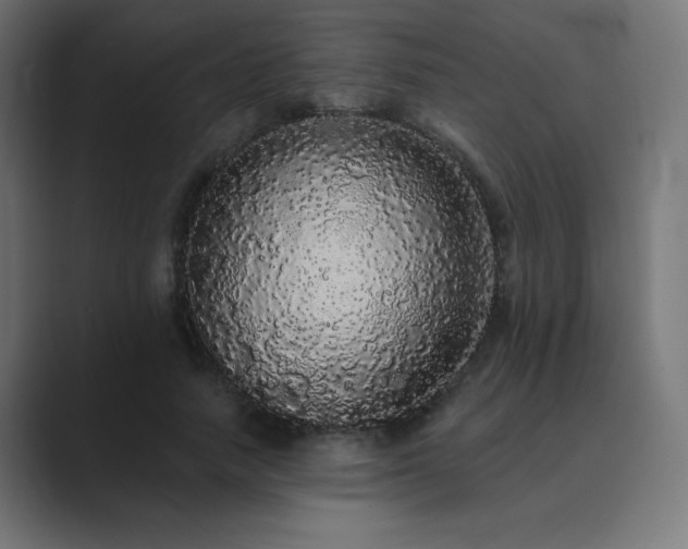 X0000089960738200706291229