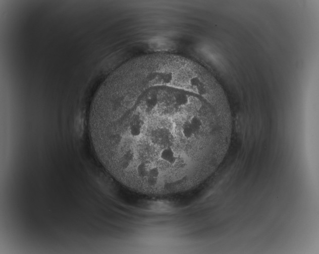 X0000089960741200706291229