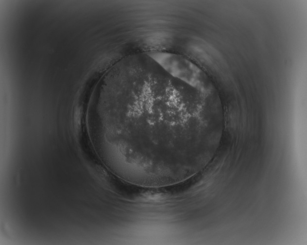 X0000089960742200706291229