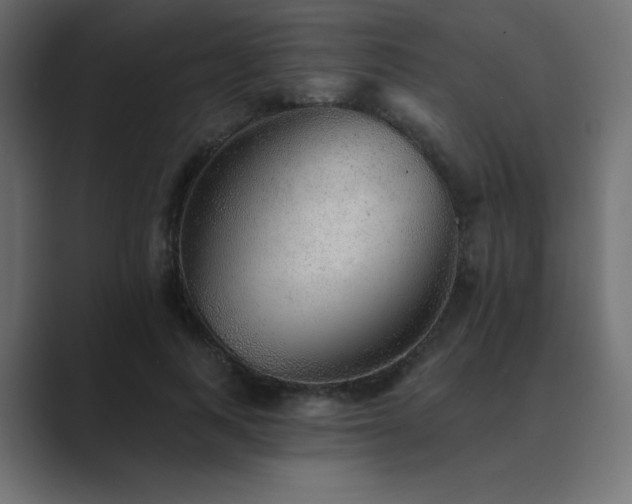 X0000089960743200706291229