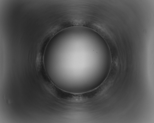 X0000089960744200706291229