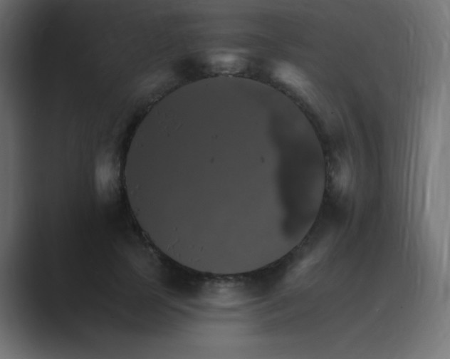 X0000089960745200706291229