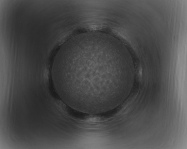 X0000089960746200706291229