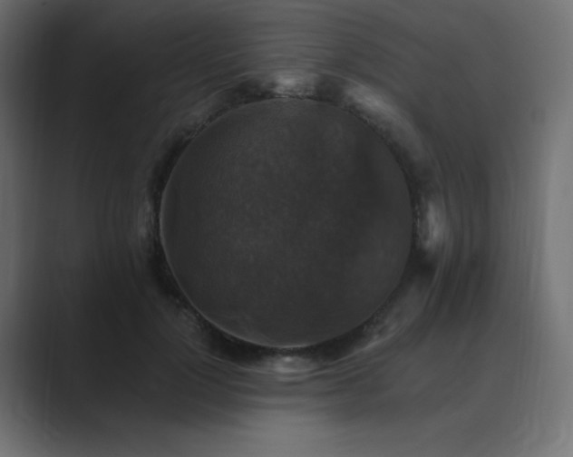 X0000089960748200706291229