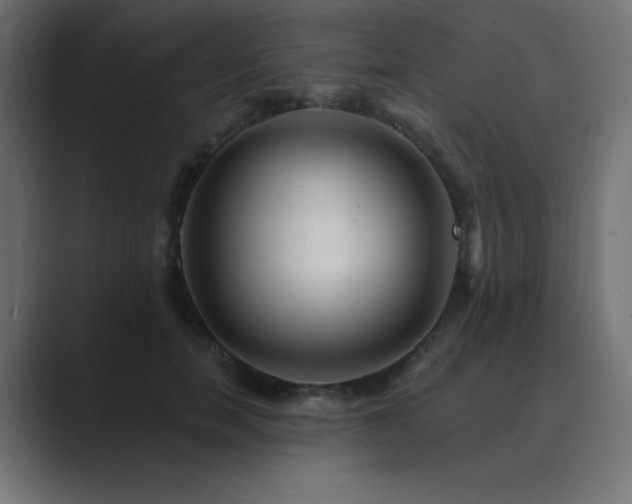 X0000089960750200706291229