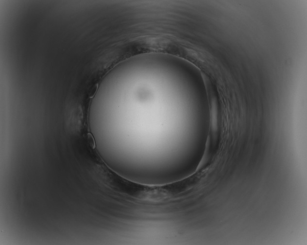X0000089960752200706291229