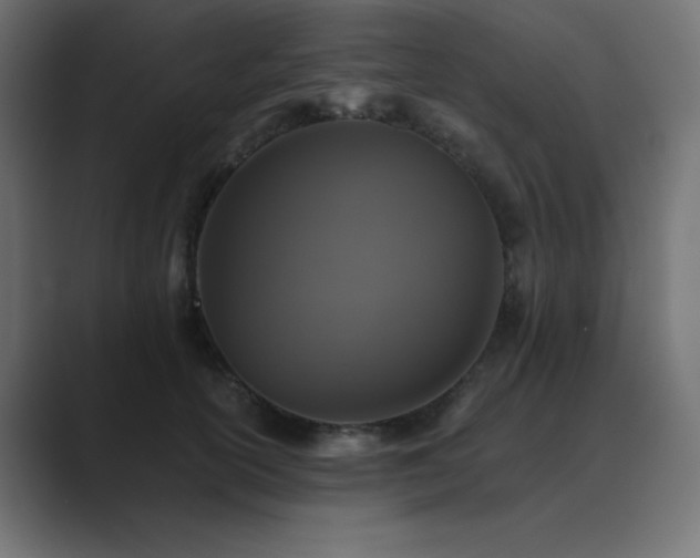 X0000089960754200706291229